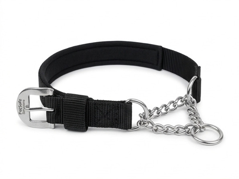 petcare Comfort-Fit Martingale Training Collar Plain Dog & Cat Collar Charm(Black, Silver, Other)