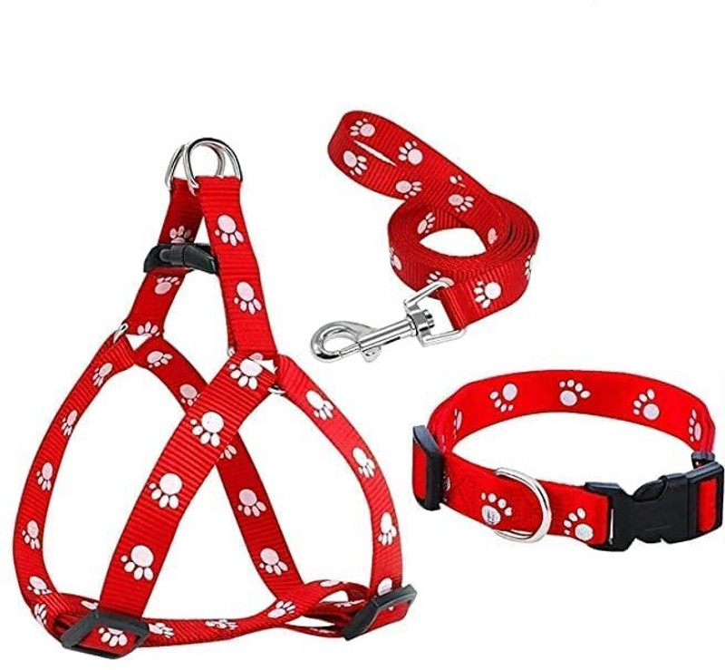 OM ZEE Dog Collar & Leash(Medium, multicolor)