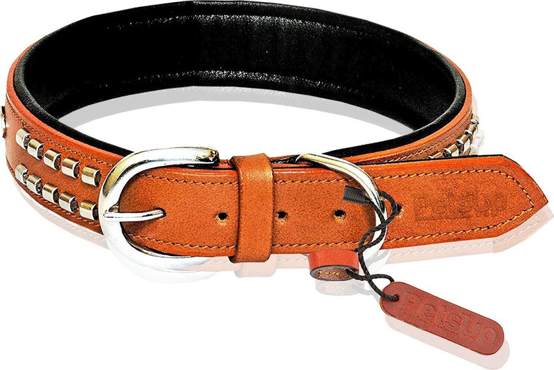 Petsup neck collar leather belt for labrador and puppy collars belts with tag name Dog & Cat Everyday Collar(Large, Green)