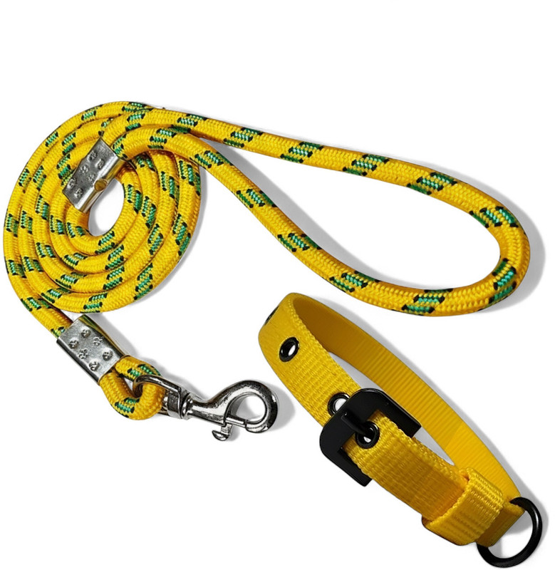 pethubmart Best dog belts & dog collar for small & medium dog (collar 0.75 inch, belt 10mm) Dog & Cat Collar & Leash(Medium, Teal (Firozi))