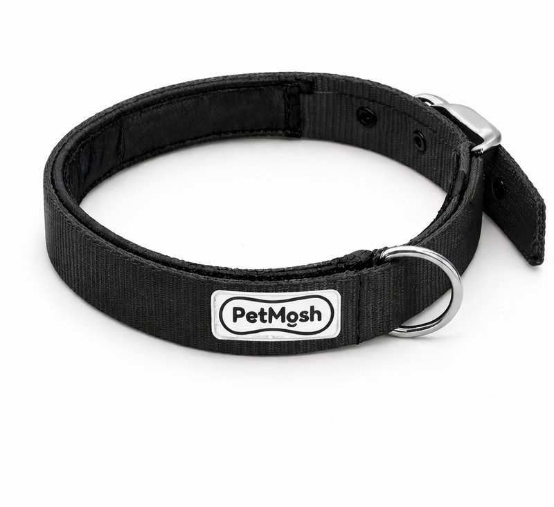 PetMosh Dog Collar Belt for Large Dogs – Adjustable Collar with Padding Dog Everyday Collar(Large, Black)