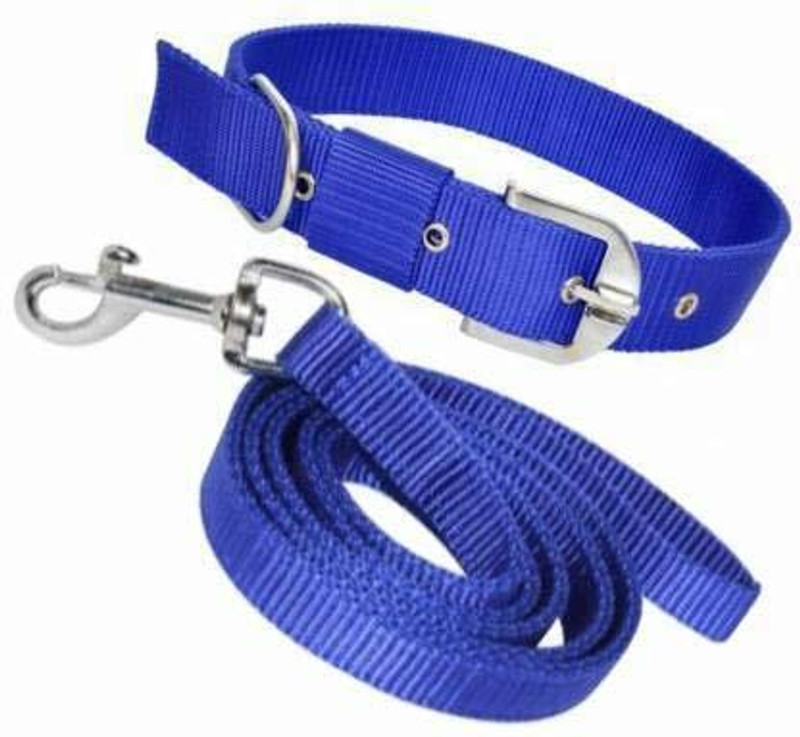 vmpets Dog collar belt with Leash | Small 0.75" - length 4ft | Everyday collar - Blue Dog Collar & Leash(Small, Blue)