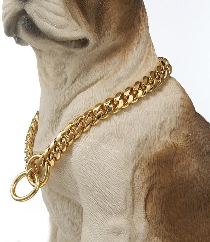 Petstorez Dog Collar Luxury Chain for Medium Size Dogs Dog Choke Chain Collar(Medium, Golden)