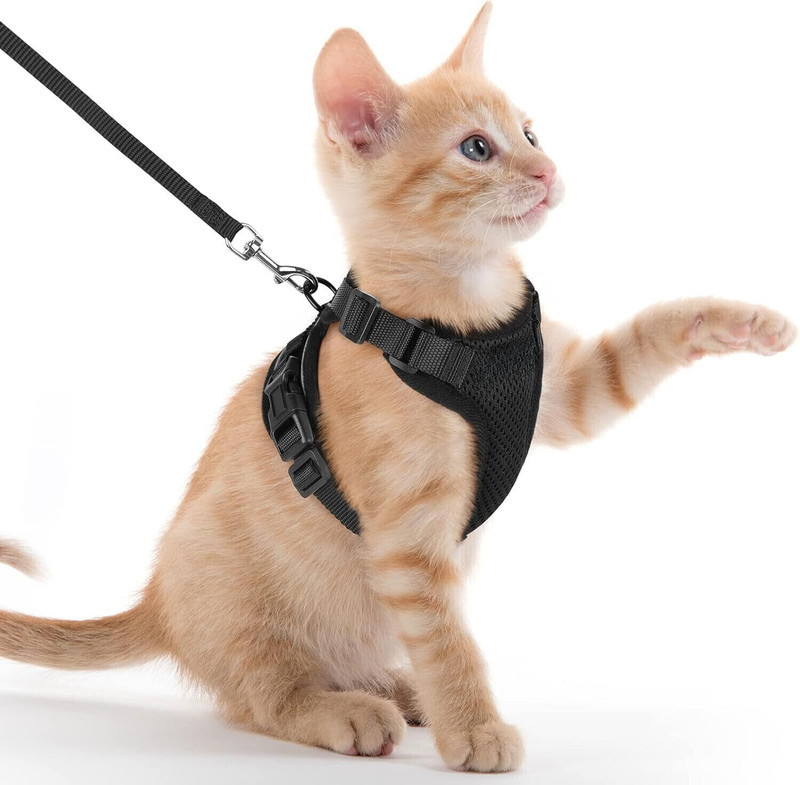 Berlin's Escape Proof No Pull Cat Harness with Leash for Outdoor, Walking Cat Harness Cat Harness & Leash(Extra Small, Black)