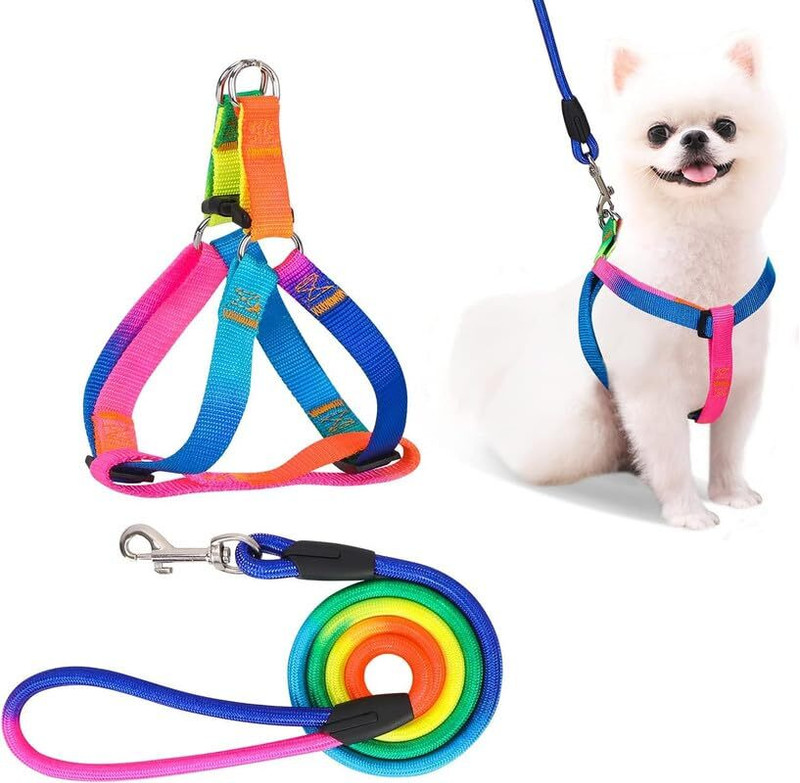 PSK PET MART Soft Padded Nylon Dog Harness & Leash Rope Set Adjustable 0Mm Dog & Cat Harness & Leash(Extra Small, Multicolor)