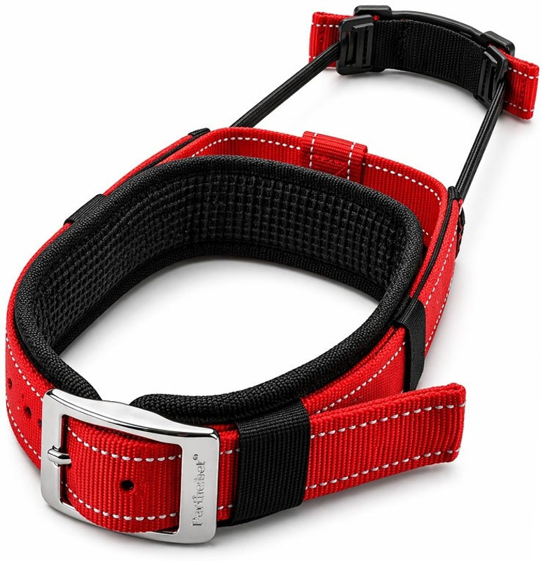 Petfun Heavy Duty Adjustable Pet Collar Integrated Short Leash (L) Dog Collar & Leash(Large, MULTICOLOR)