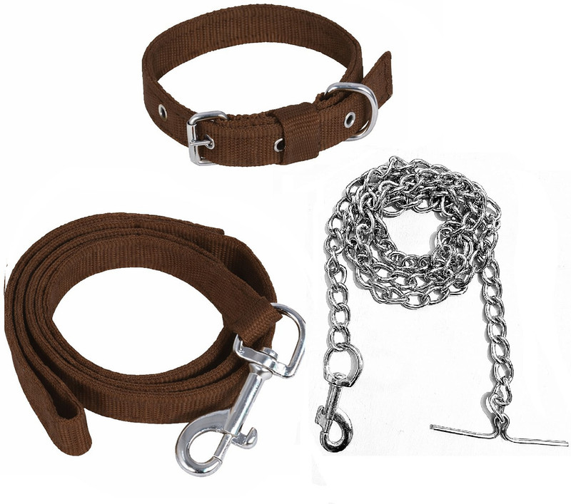 Petzoto Dog Belt Combo Nylon Collar with Heavy Chain Leash Dog Collar & Leash durable Dog & Cat Collar & Chain(Medium, Brown)