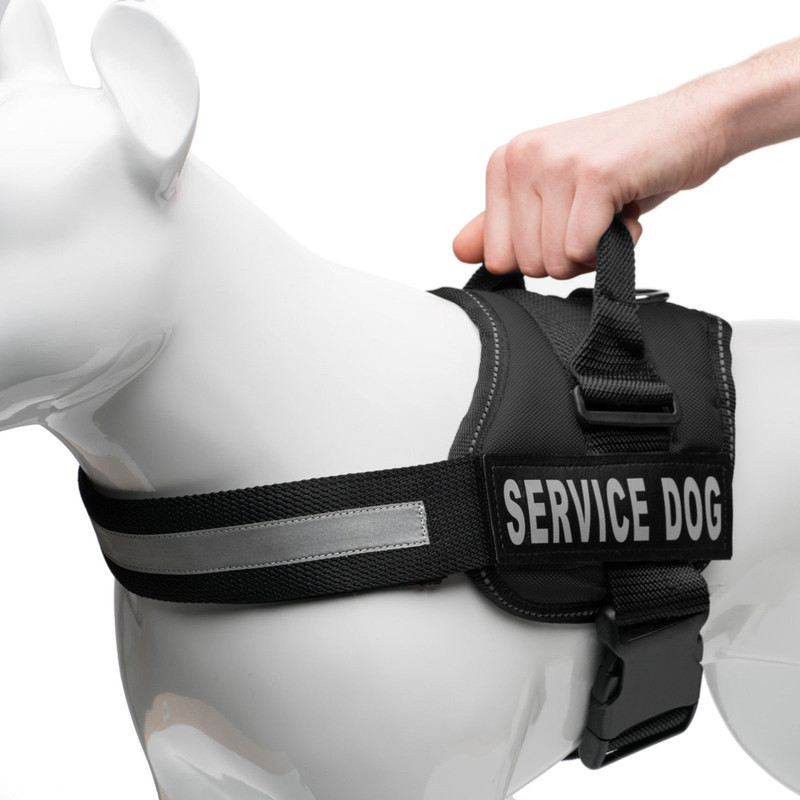 Petsup dog body harness for labrador and small medium dogs belt collar Dog Standard Harness(Medium, Black)