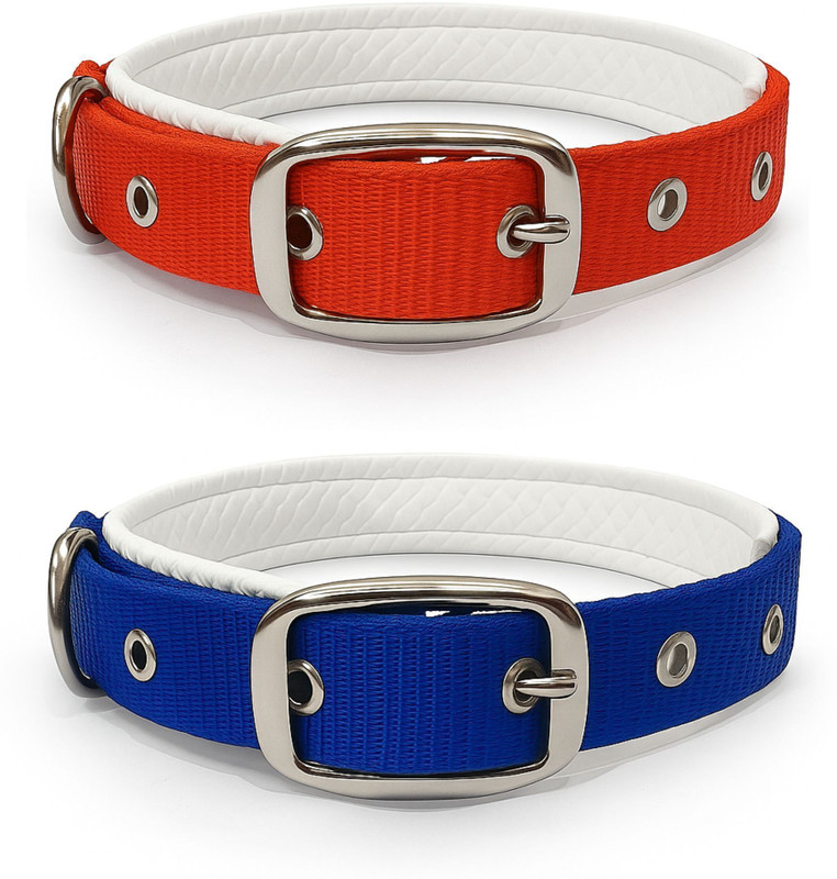 Om Leather Product LAR - Pack of 2 Nylon Padded Dog Collar | Comfortable Neck Belt Dog Everyday Collar(Large, RED, BLUE)