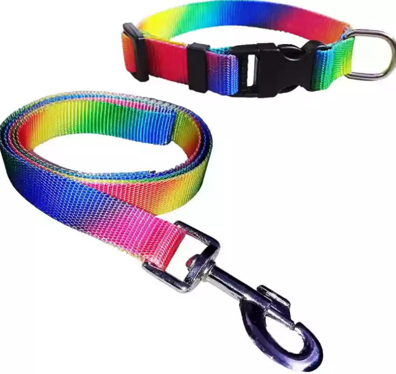 chullbull pet products Dog & Cat Collar & Leash(Extra Large, MULTICOLOR)