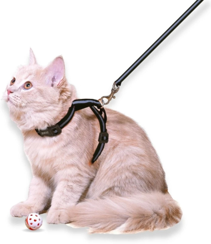 fashnita Reflective cat harness with leash set for walking escape prove Cat Collar & Leash(35 - 50 cm, black, white)