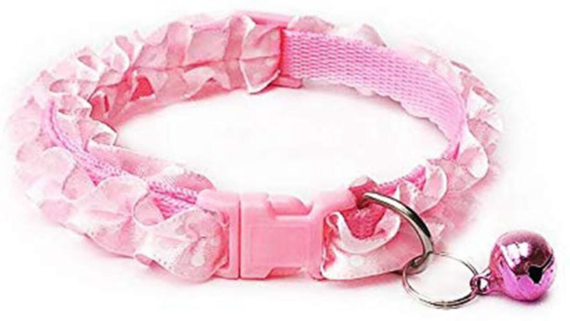 apnistore Dog & Cat Everyday Collar(Small, Multicolour)