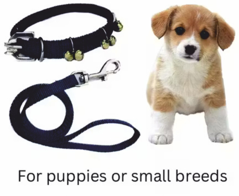 BODY BUILDING Dog Ghungroo Collar Adjustable Comfortable for Dog & Cat Collar & Leash(Small, Black)