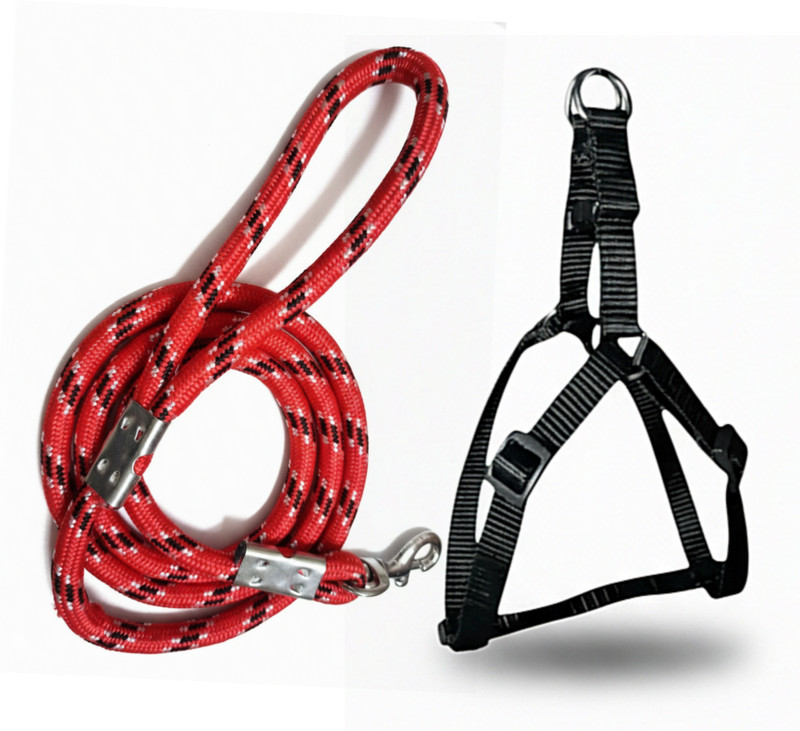 pethubmart Premium Quality Dog Belts and Dog Harness Combo Set For Small To Medium Dog Dog & Cat Harness & Leash(Medium, Multicolor2)