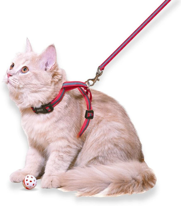 Buraq Black Cat Harness Full Body With Leash Set - For Walking | Escape Proof Cat Buckle Harness(Medium, BLACK)