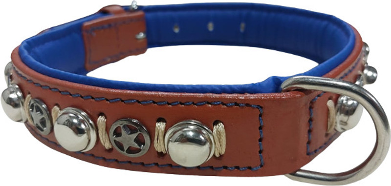 shagul Dog leather collar 1 inch ten color blue padding Dog Everyday Collar(Medium, Ten color)