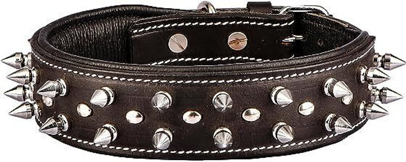 Sparrow Daughter DCL-SD-5 Dog Everyday Collar(Small, DARK BROWN)