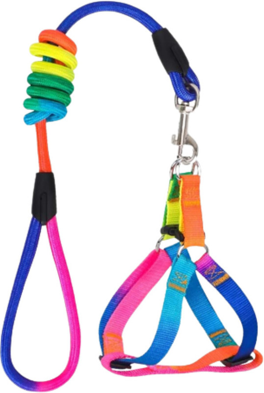 Pet Guard Rainbow Colour Weave Nylon Pet Rope Dog Harness Training Walking Leash Dog & Cat Harness & Leash(Large, MULTICOLOR)