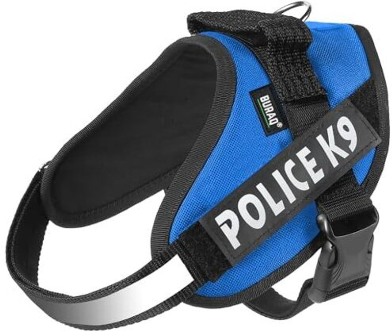 Buraq Dog Buckle Harness(Small, Blue)