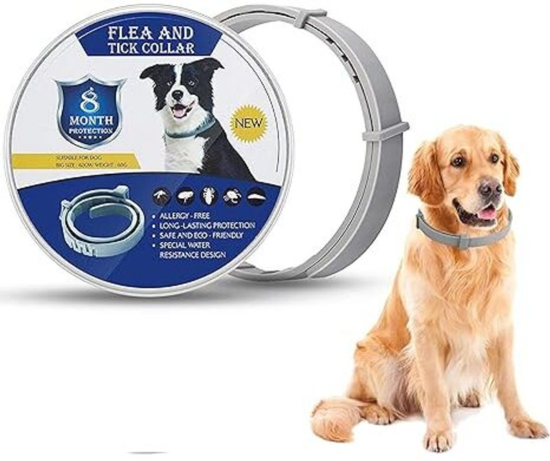 SKYBUCKET All Breeds Made with Natural Ingredients Dog Flea & Tick Collar Dog & Cat Anti-tick Collar(Large, Gray)