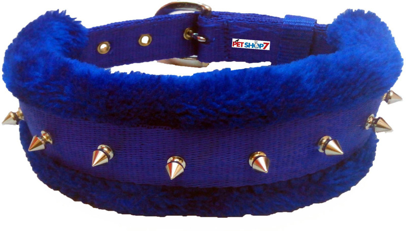 Petshop7 Best Quality Black Spike Large 1.25 Inch Dog Everyday Collar(Large, Blue)