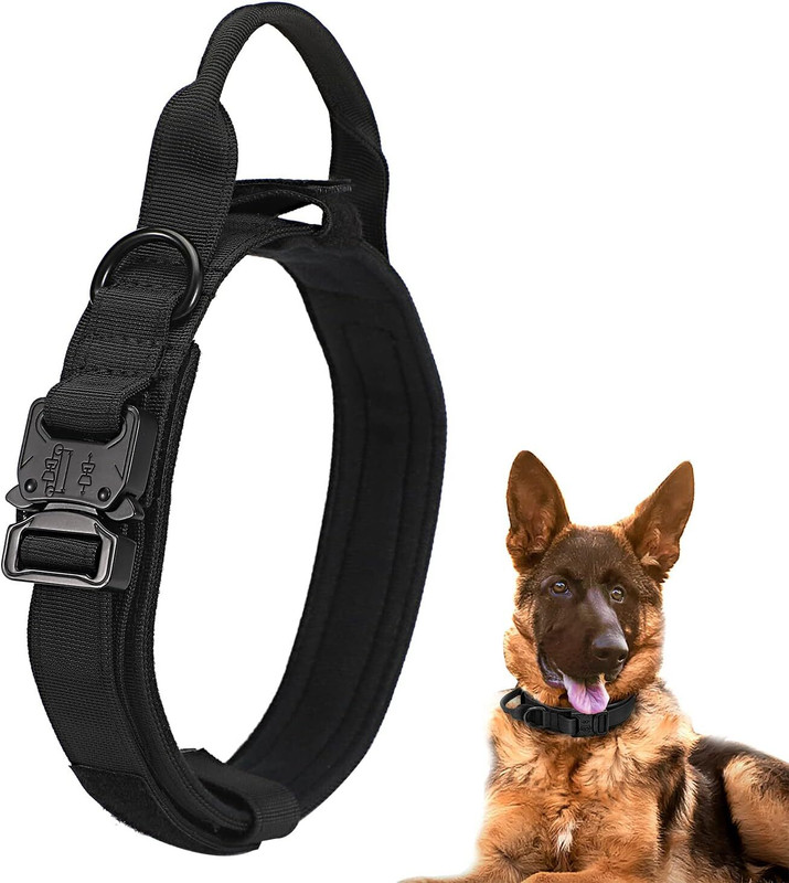 Paw Prints Dog Everyday Collar(Extra Large, Black)