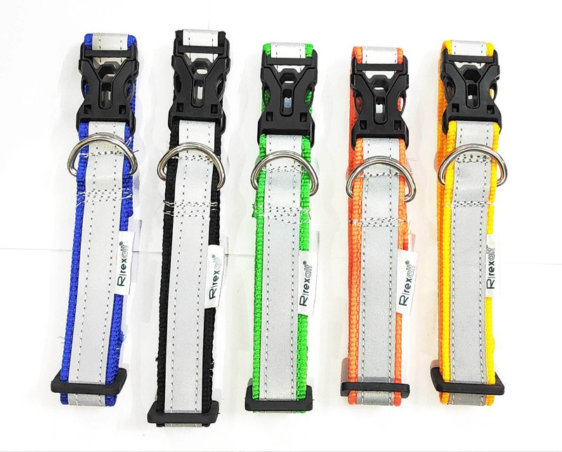 Rexalt Dog & Cat Everyday Collar(35 - 50 cm, Multicolor)