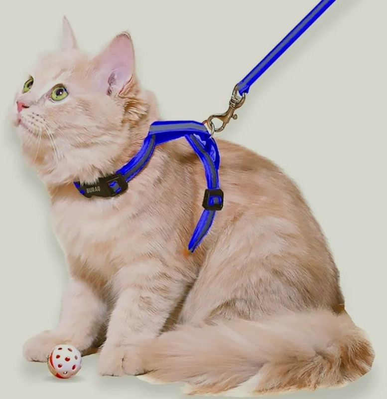 fashnita Reflective cat harness with leash ,cat for walking,escape proof Cat Harness & Leash(Medium, blue)