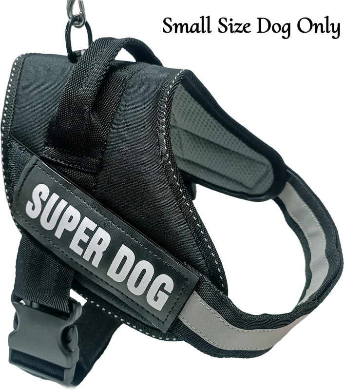 Bark & Meow Dog Body Belt for Small Dogs Body Belt for Vest Usable Indoor/Outdoor (Black) Dog Everyday Collar(Large, Black)