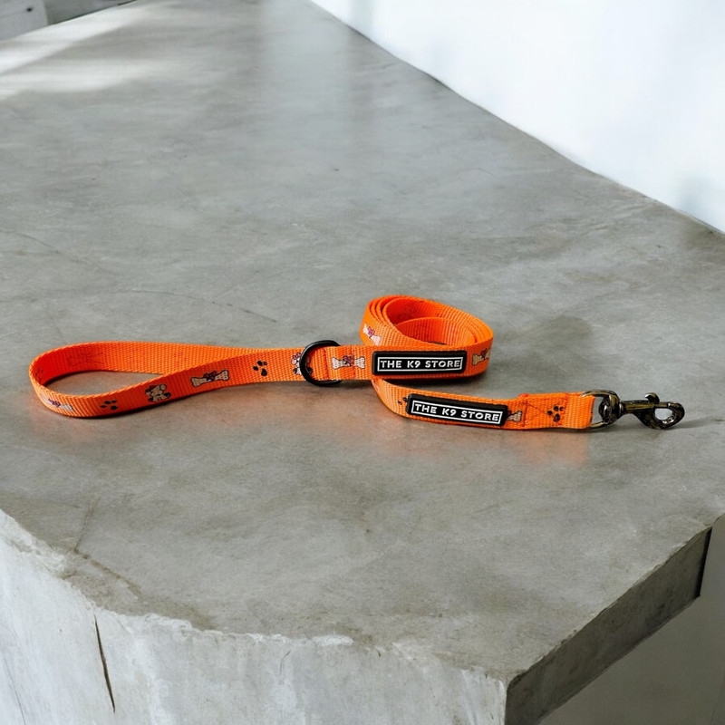 THE K9 STORE Dog & Cat Leash(Medium, Orange)