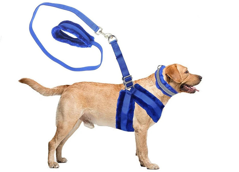 Petlia Body Belt Training Lead Dog Leash Fur Padded Nylon Set Combo Small Dog Harness & Leash(20 - 30 cm, Blue)