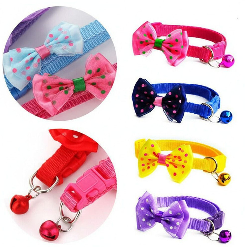 apnistore 3 Pcs Dog & Cat Collar & Leash(Medium, Multi Colour)