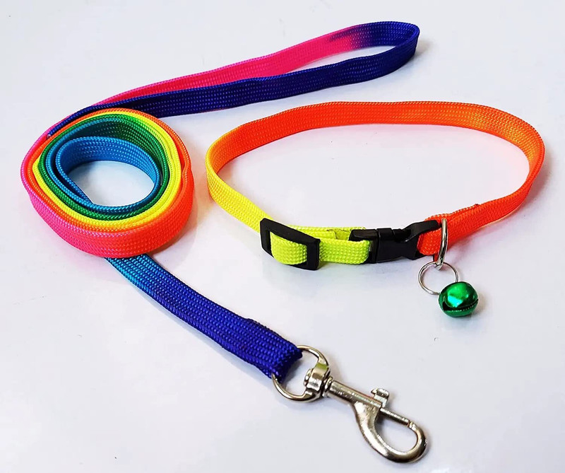 Petzoto Good Quality Nylon 1/2 inch Rainbow Dog Collar leash Cat & Puppy Dog & Cat Collar & Leash(Extra Small, MULTICOLOR)