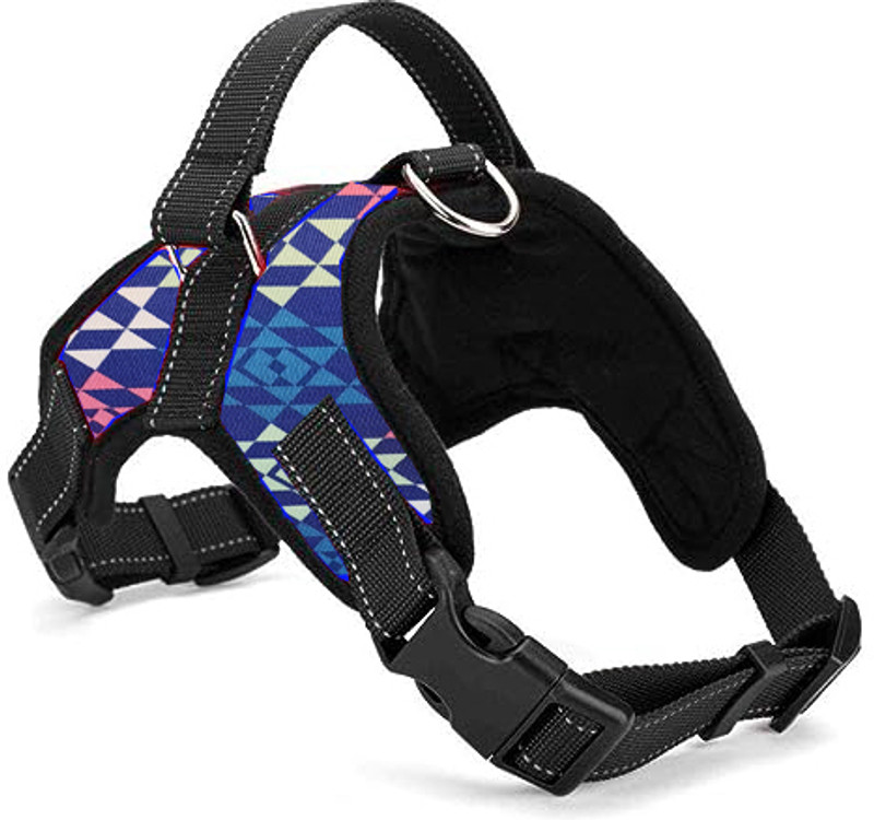 PETSPOPULAR Blue Print adjustable Body Belt Rope Combo Dog Harness & Leash(Large, Blue Print)