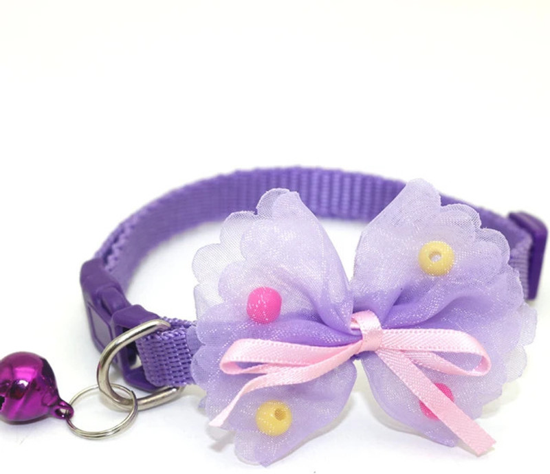 The IndianBulls Dog & Cat Everyday Collar(Small, new blue)