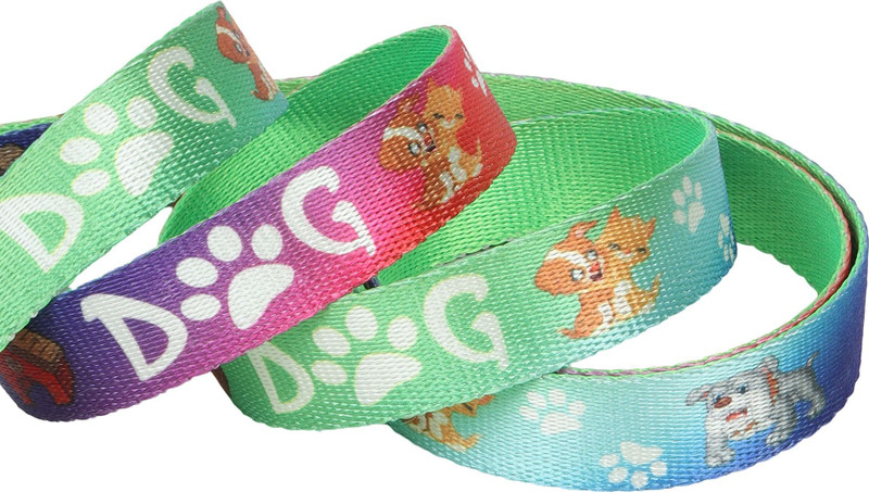 GNS PETS 5 FEET LONG PUUPY LEASH FOR YOUR PET Dog & Cat Collar & Leash(Medium, Green)