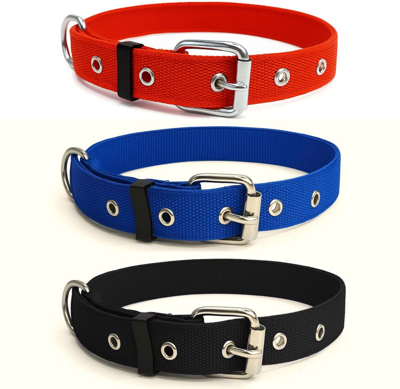 Om Leather Product Om Leather Product High-Quality Nylon Dog Leash & Collar Dog Everyday Collar(Large, Multicolor)