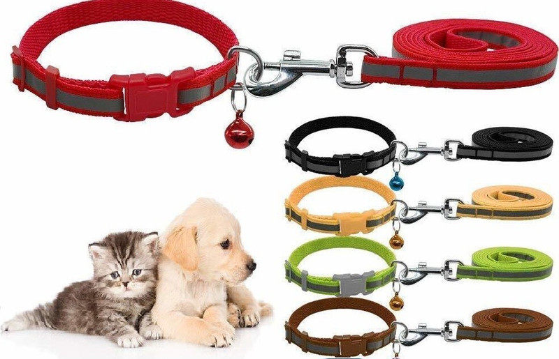 chullbull pet products CHULLBULL Reflective Leash Collar for Puppy Set with Bell for Cats and Dogs 10mm 120 cm Dog & Cat Strap Leash(Multicolor)