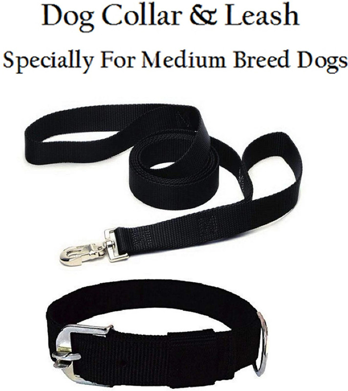 HOUSE OF COMMON BLACK COLOUR DOG COLLAR & BELT NYLON-Medium Dog Collar & Leash(Medium, Black)