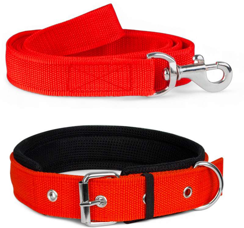 TRUE DAWG Soft Padded Dog Collar and Leash Set for Small Breed Dogs (Neck Size: 10"-14.5") Dog Collar & Leash(Small, Red)
