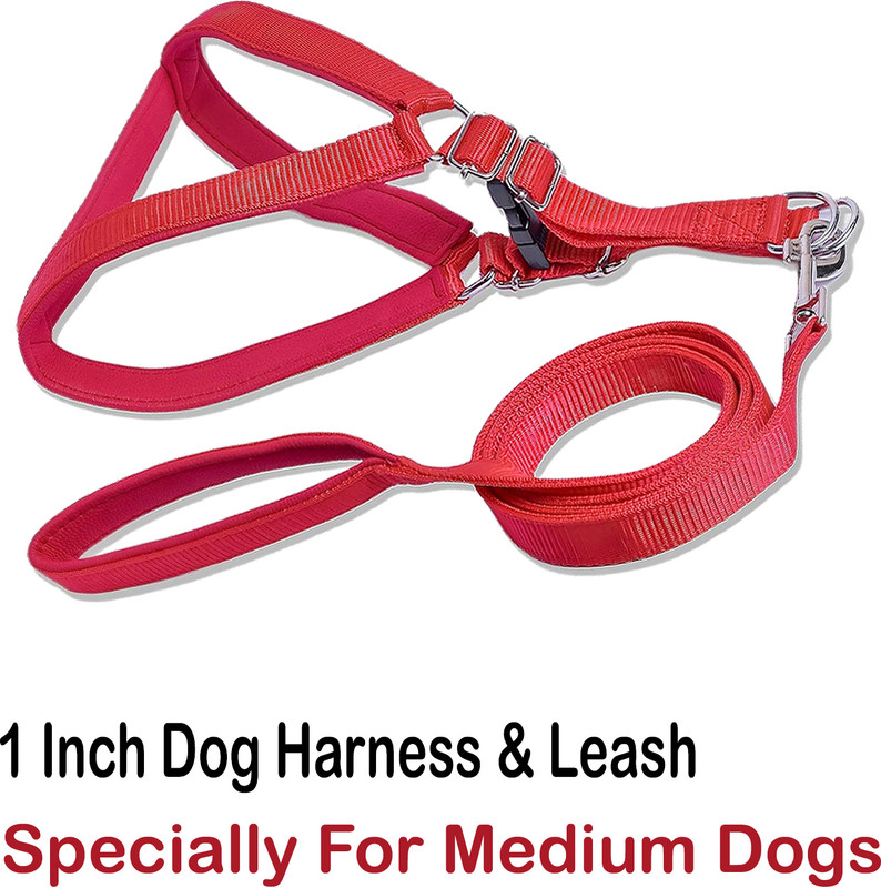 WROSHLER NYLON BLACK PADDED DOG BODY HARNESS & LEASH ADJUSTABLE CHEST SIZE 21-29 INCH Dog Harness & Leash(Small, BLACK 0.75 INCH)
