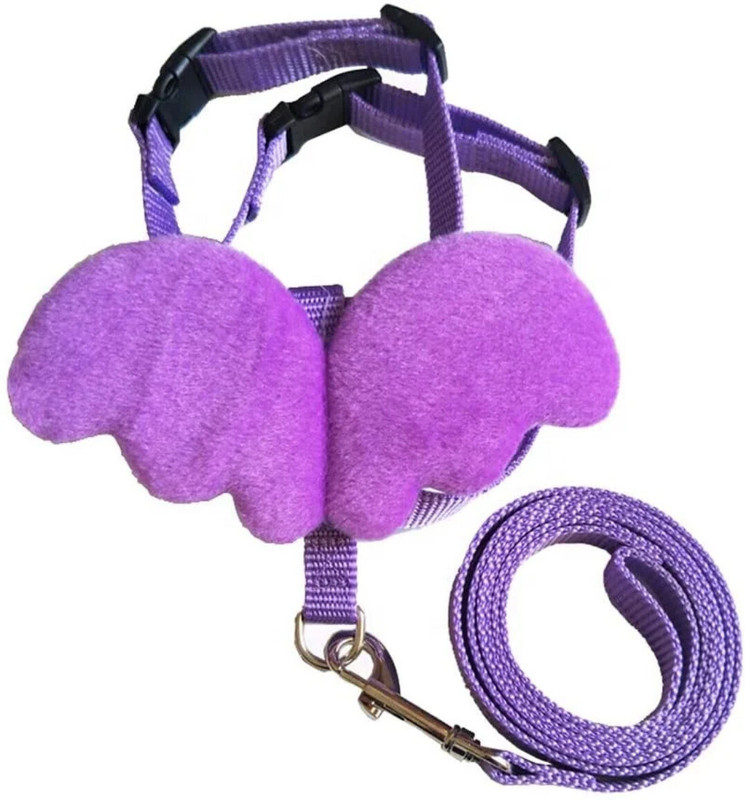 Hurrypets Butterfly Adjustable Nylon Body belt for all size Cats Cat Standard Harness(Extra Small, Multicolur)