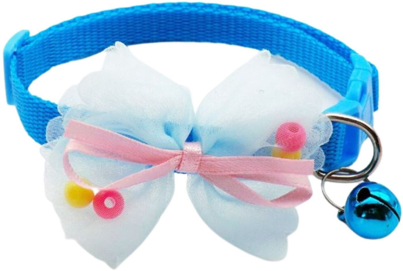 FONDLE Dog & Cat Everyday Collar(Small, Yellow, Blue)