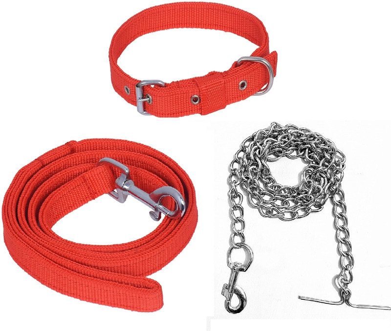 chullbull pet products Dog & Cat Collar & Chain(Medium, Red)