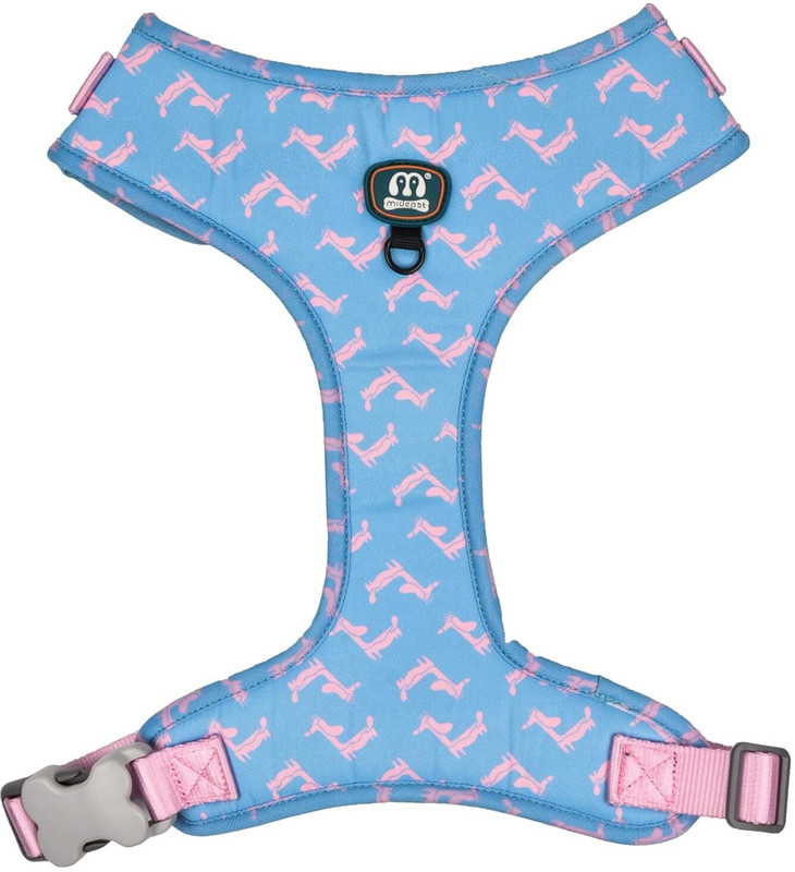 Mystic Paws Adjustable Vest Harness, Dog & Cat Standard Harness(Medium, Blue)