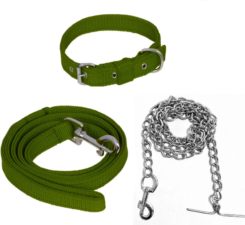 HOUSE OF COMMON Green Belt/Puppy Collar Belt Dog Collar & Leash Steel Chain Dog Collar & Chain(Medium, GREEN)
