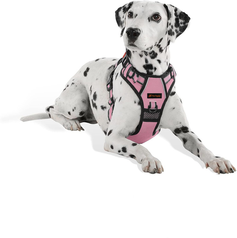 THE PETS POPULAR Pink Adjustable Double Sided Pro Harness Body Belt with Rope Dog Standard Harness(Extra Large, Pink)