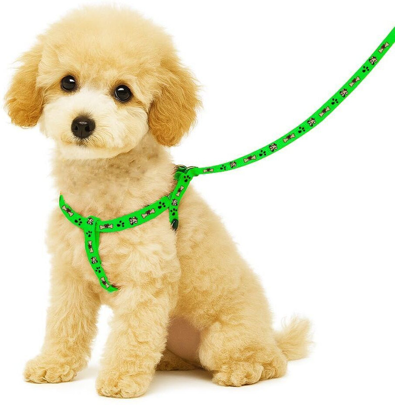 BBFLAMINGO Adjustable Nylon Dog Harness & Leash Combo | For 02-10 KG | Bone Paw Printed | Dog Harness & Leash(Small, Green)