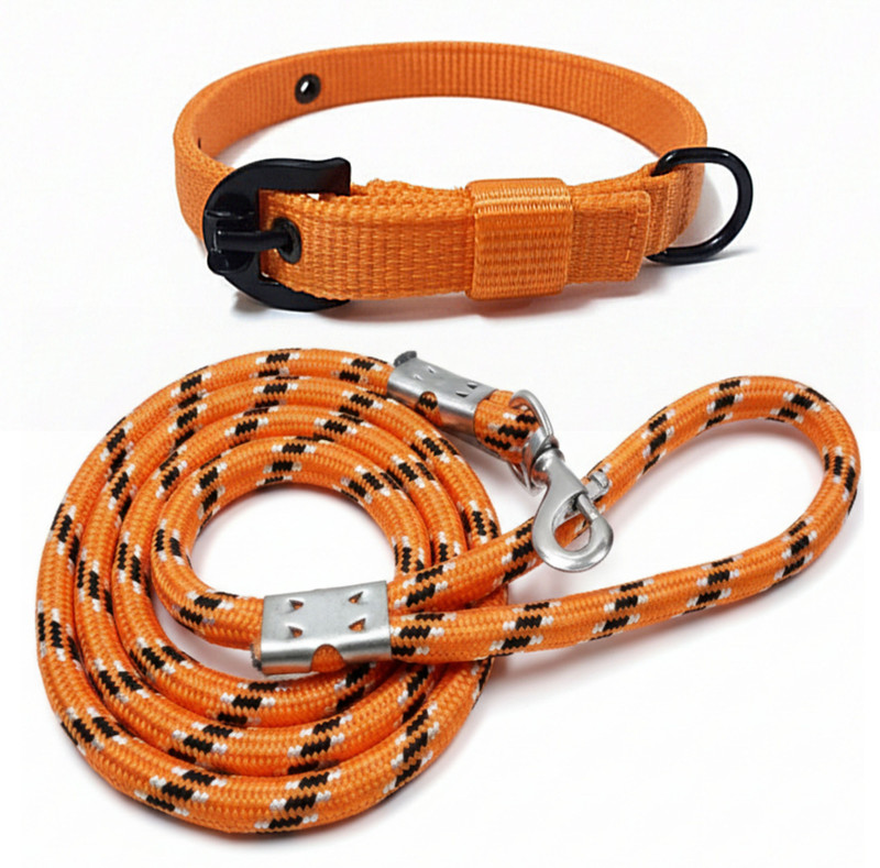 pethubmart Best dog belts & dog collar for small & medium dog (collar 0.75 inch, belt 10mm) Dog & Cat Collar & Leash(Medium, Blue)
