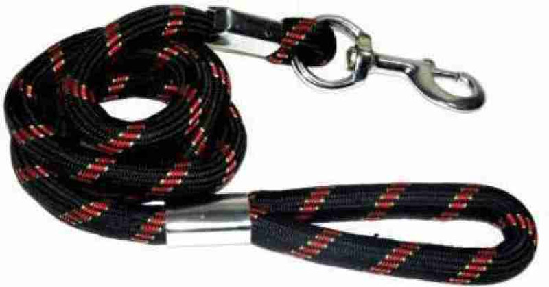 Aviean International Dog & Cat Leash(Small, green, blue, red)